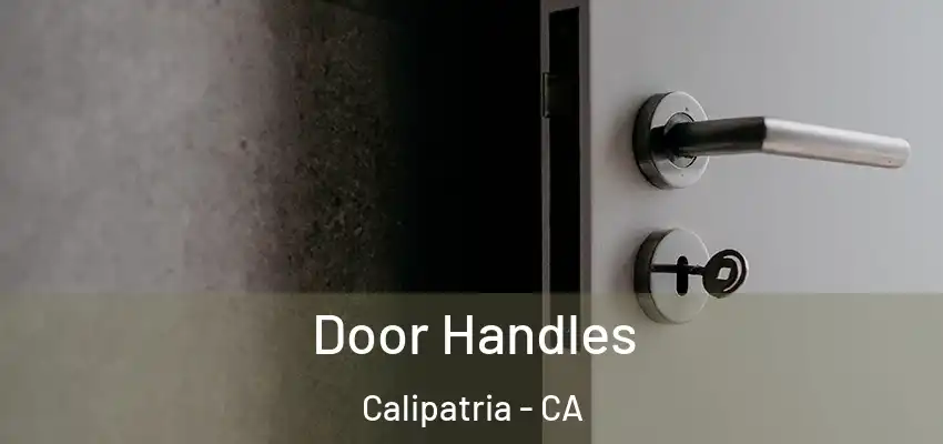  Door Handles Calipatria - CA