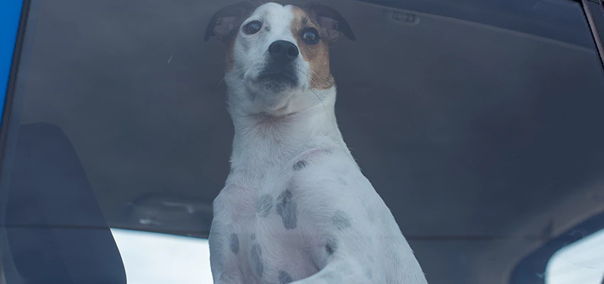 Car Lockout Solutions in Calipatria, California