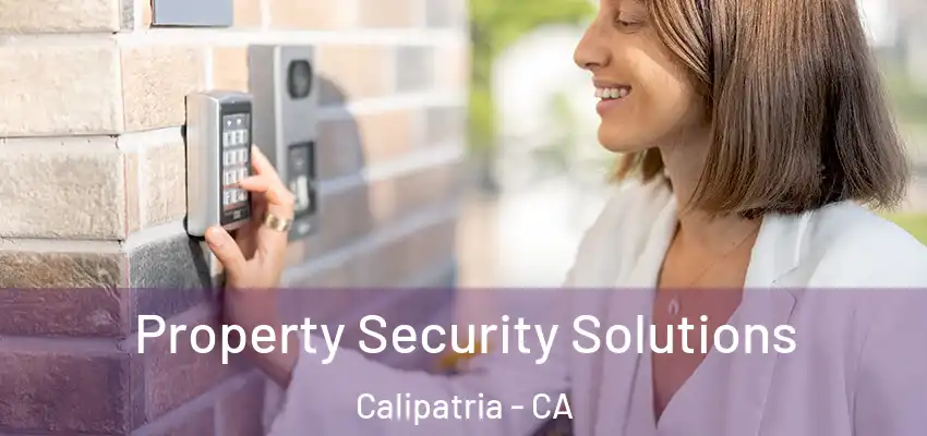 Property Security Solutions Calipatria - CA